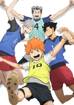 (Blu-ray) Haikyu!! TV Series 2nd Season Vol. 2