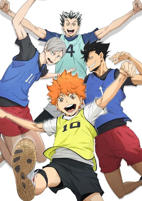 (Blu-ray) Haikyu!! TV Series 2nd Season Vol. 2