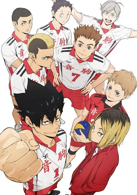 (Blu-ray) Haikyu!! TV Series TO THE TOP Vol. 5 [First Run Limited Edition]