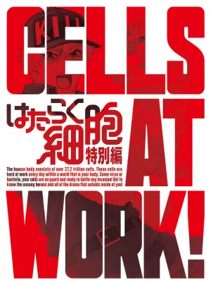 (DVD) Cells at Work! TV Series Special Episode [Complete Production Run Limited Edition]