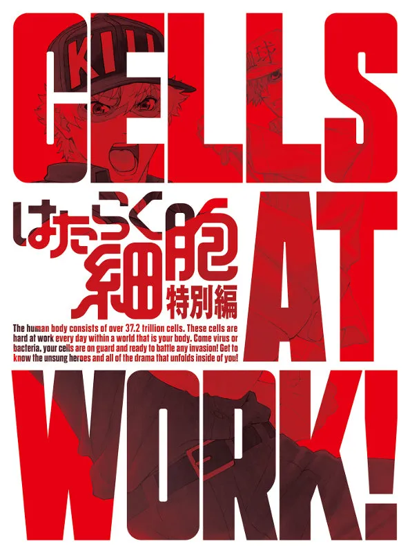 (DVD) Cells at Work! TV Series Special Episode [Complete Production Run Limited Edition]