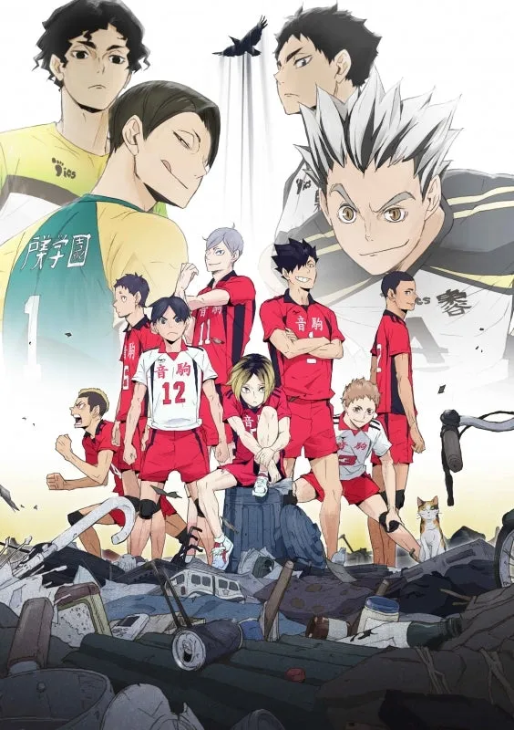 (DVD) Haikyu!!: Land vs Sky OVA
