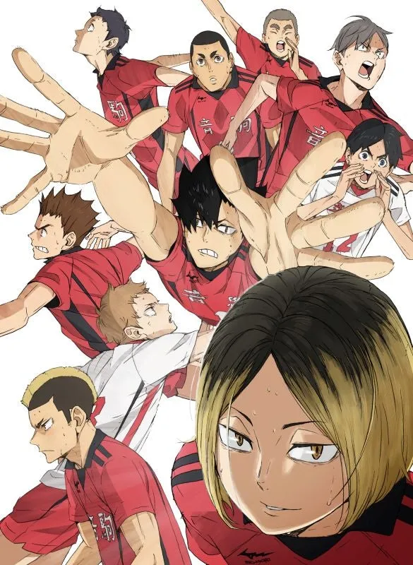 (DVD) Haikyu!! The Movie: Haikyu!! The Dumpster Battle DVD [Deluxe Edition]