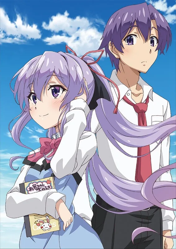 (DVD) My Sister, My Writer (Ore ga Suki nano wa Imouto dakedo Imouto ja Nai) TV Series Vol. 4